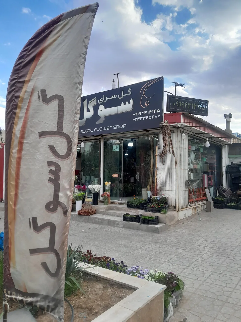گلسرای سوگل - تصویر 2