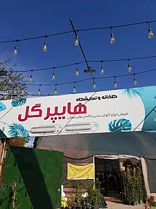 هایپر گل