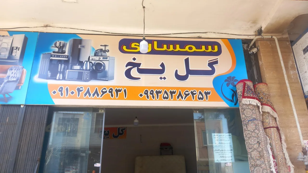 سمساری گل یخ - تصویر 2