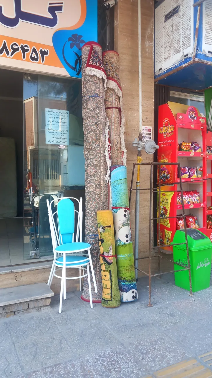 سمساری گل یخ - تصویر 4