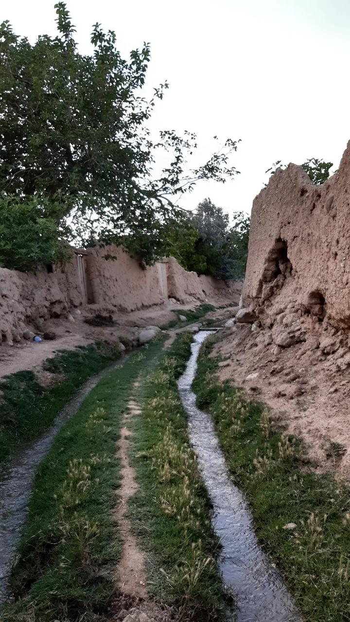 باغ راه کندنه - تصویر 3