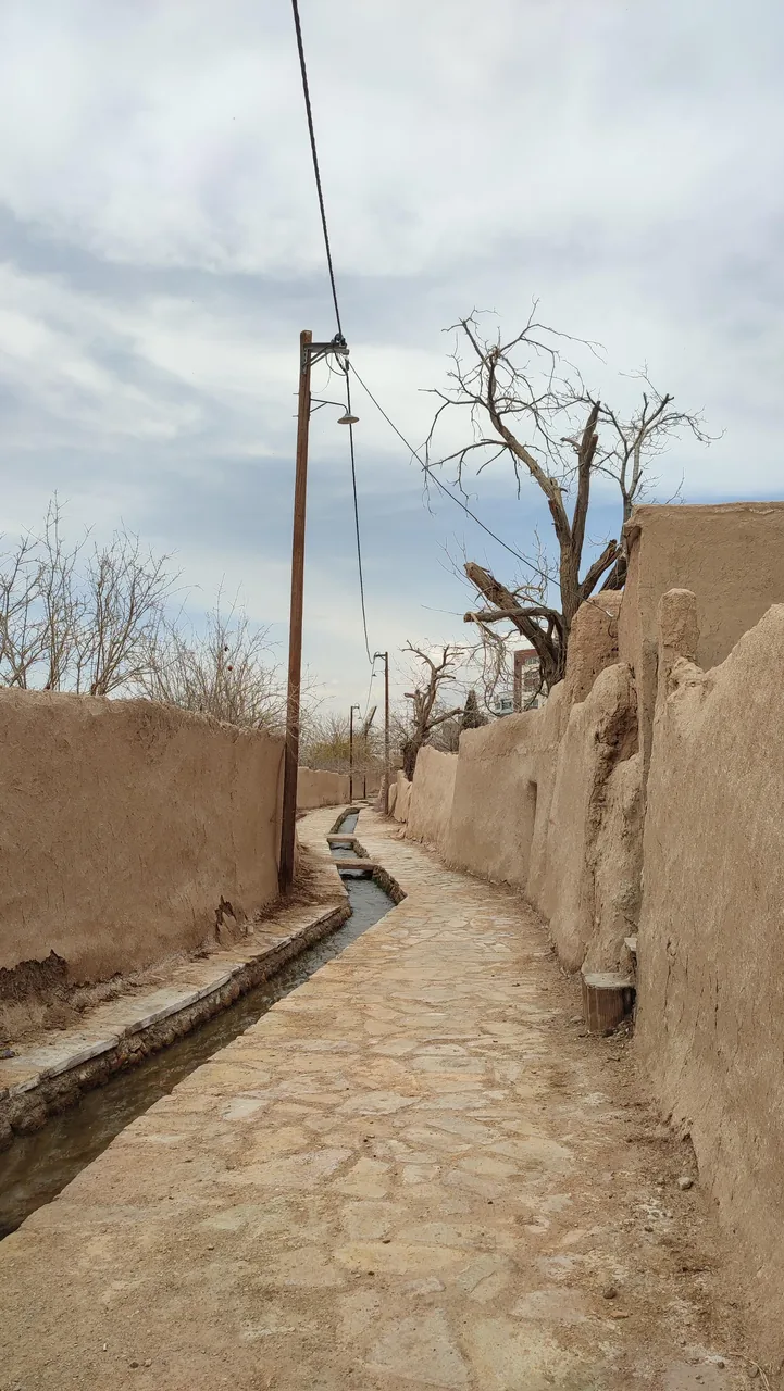 باغ راه کندنه - تصویر 4