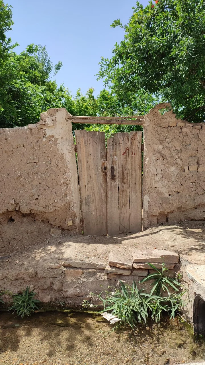 باغ راه کندنه - تصویر 5