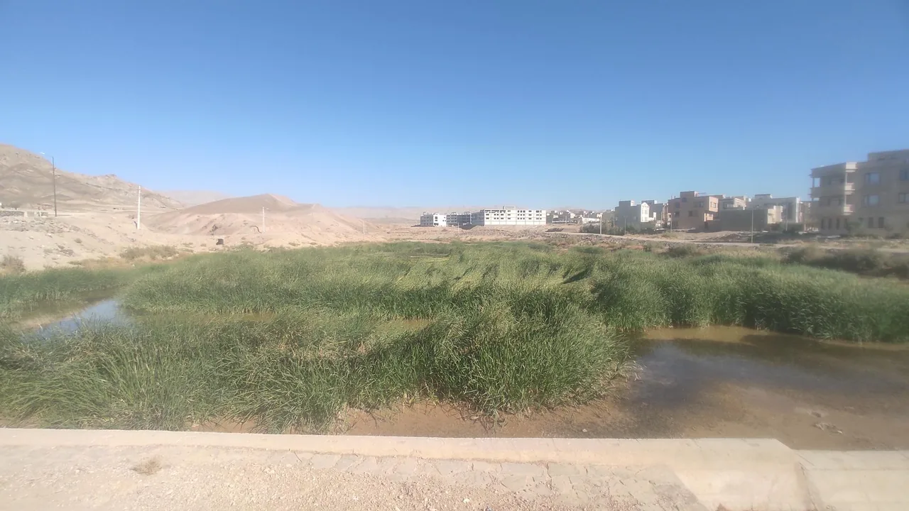 دریاچه روزیه - تصویر 4
