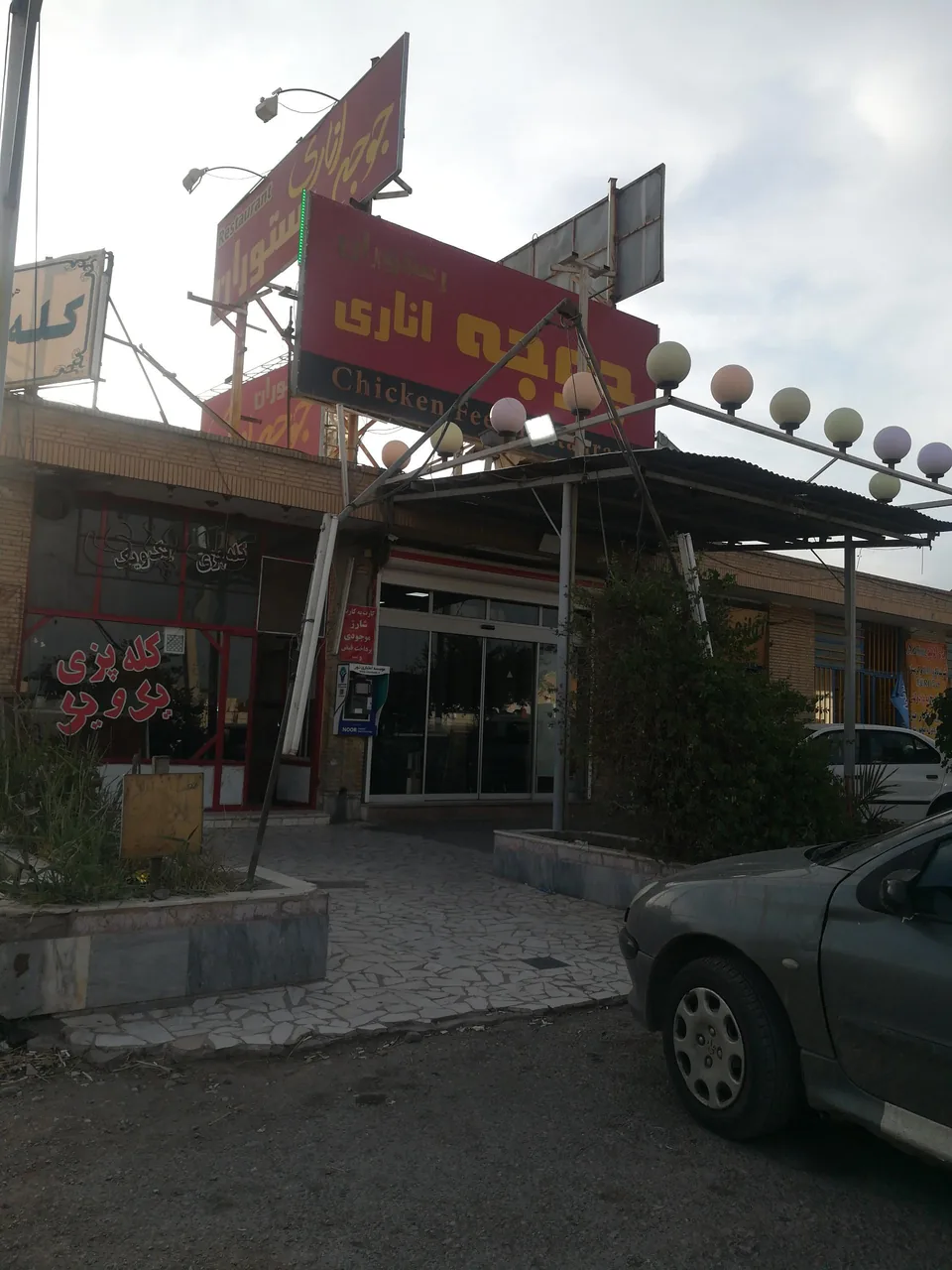جوجه اناری - تصویر 3
