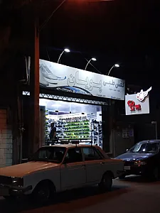 کفش طبی پویان
