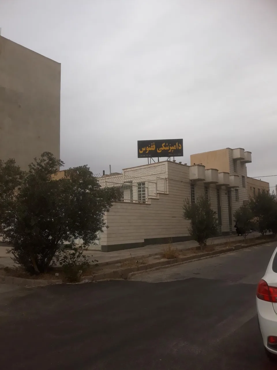 دامپزشکی ققنوس - تصویر 3