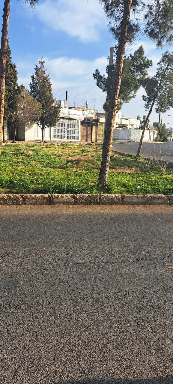 رینگ و لاستیک اسپرت - تصویر 3