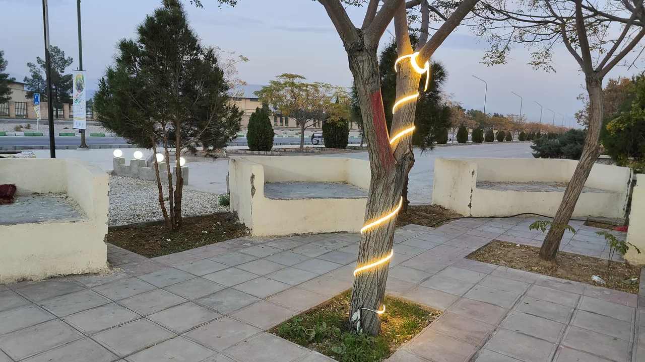 کافه سیف - تصویر 3