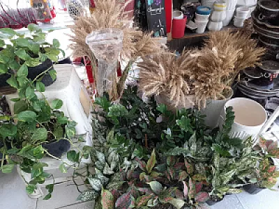 گلسرای سوگل