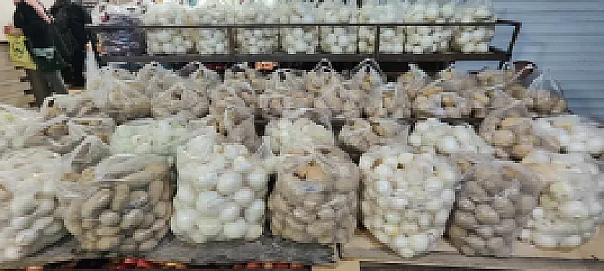 سوپر میوه چهار فصل