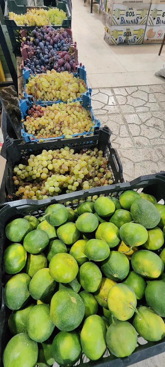 سوپر میوه چهار فصل - تصویر 2