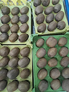 سوپر میوه سبز
