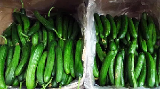 سوپر میوه جمشید