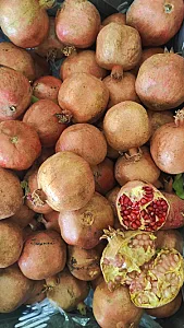 سوپر میوه کشاورز