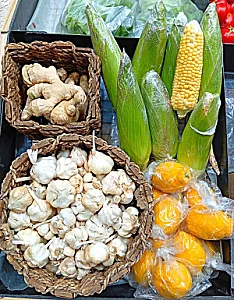 میوه سرای شاهی
