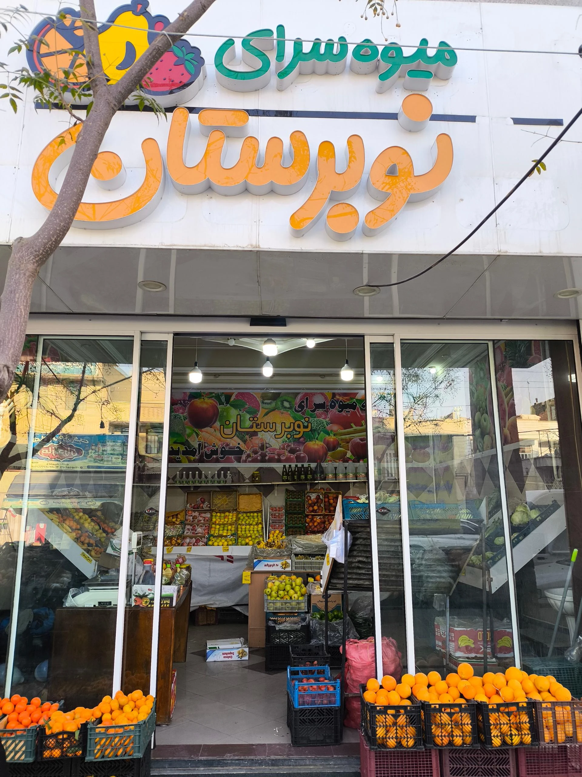شهر میوه محمد - تصویر 2