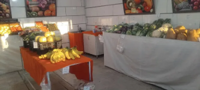 میوه فروشی رفعت