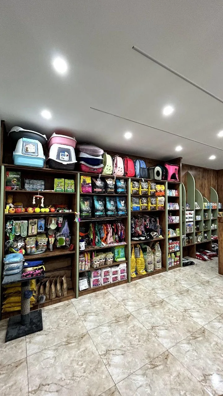 دامپزشکی دکتر حدیث ابن علی - تصویر 2
