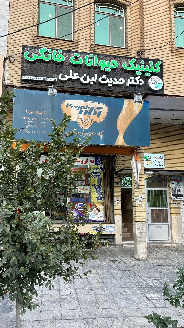 دامپزشکی دکتر حدیث ابن علی - تصویر 3