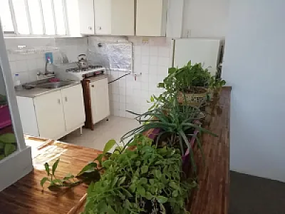 سوئیت اجاره ای