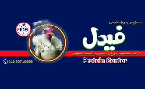 پروتئینی فیدل