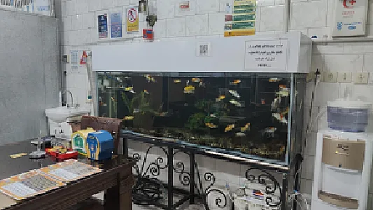 کباب سرای قائم