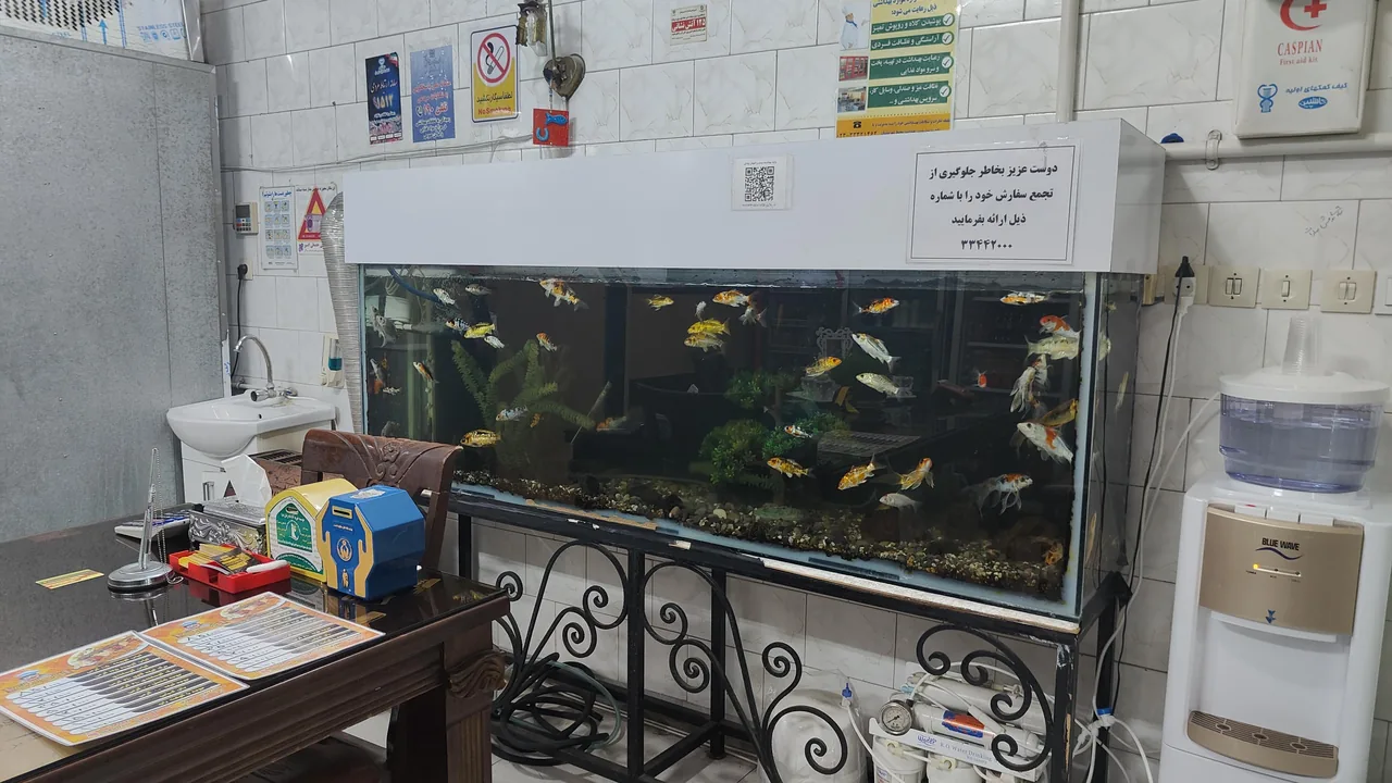 کباب سرای قائم