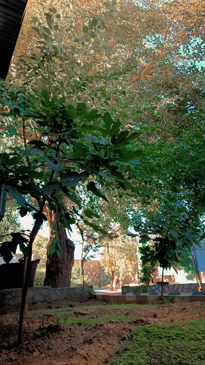 کمپ آسمان آبی - تصویر 4