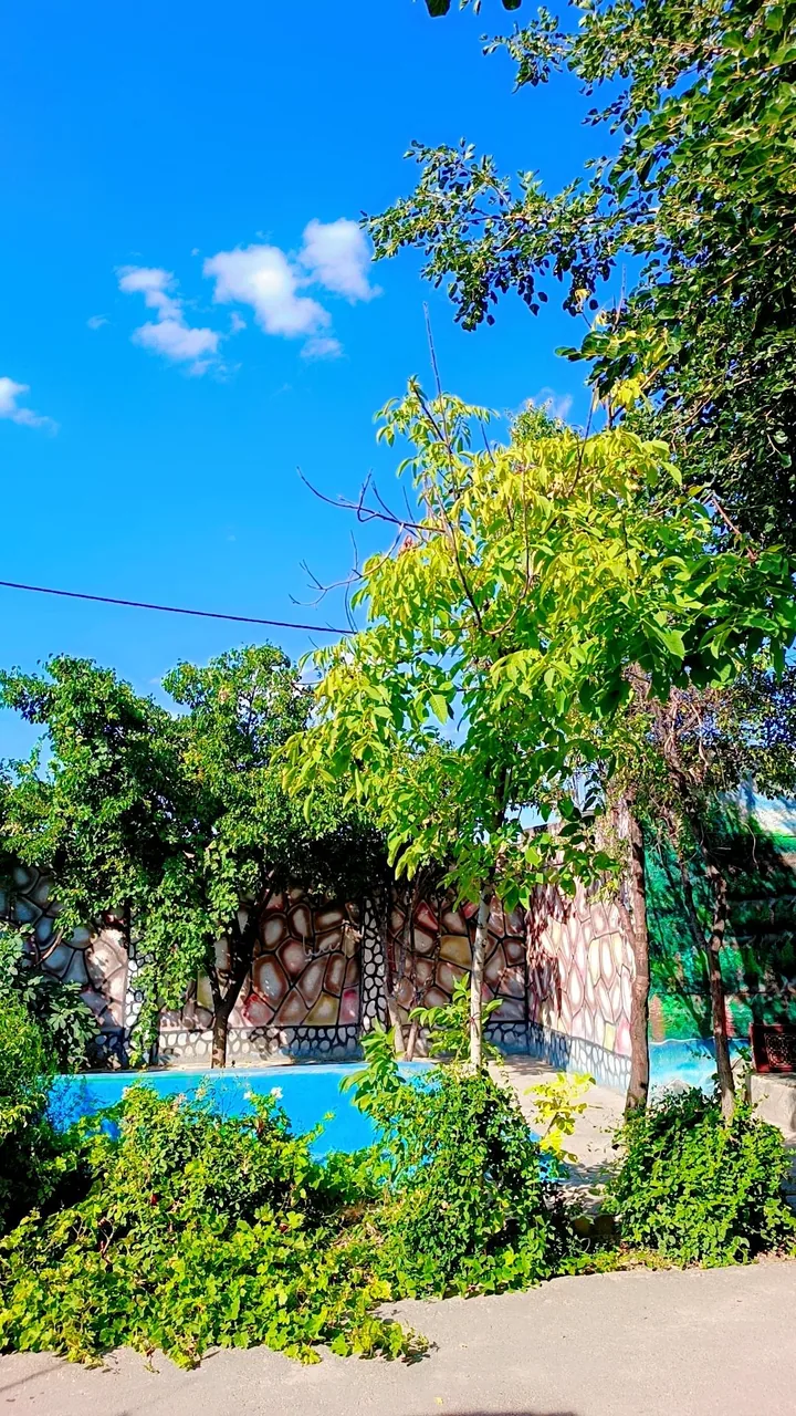 کمپ آسمان آبی - تصویر 5