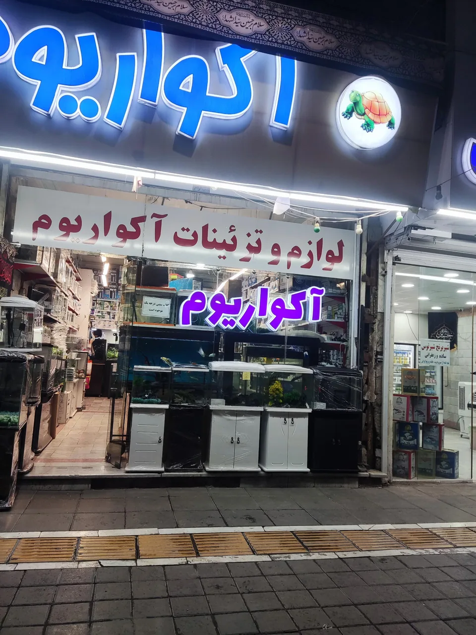 آکواریوم نمو - تصویر 2
