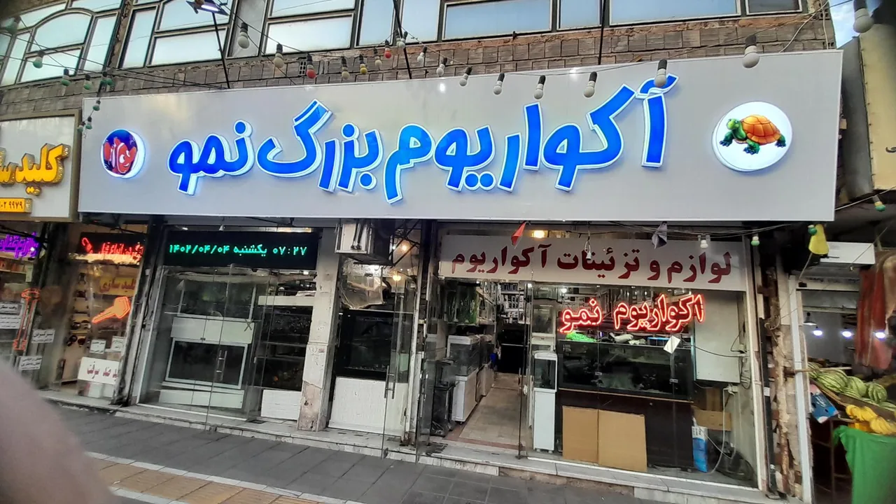 آکواریوم نمو - تصویر 2