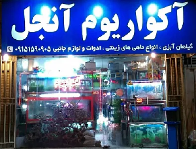 آکواریوم آنجل