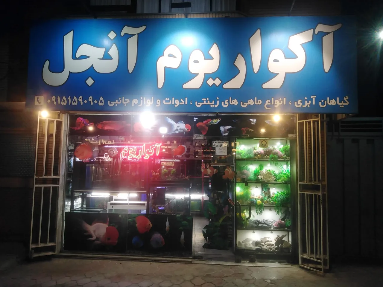 آکواریوم آنجل - تصویر 2