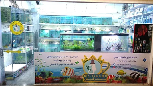 آکواریوم آقای ماهی