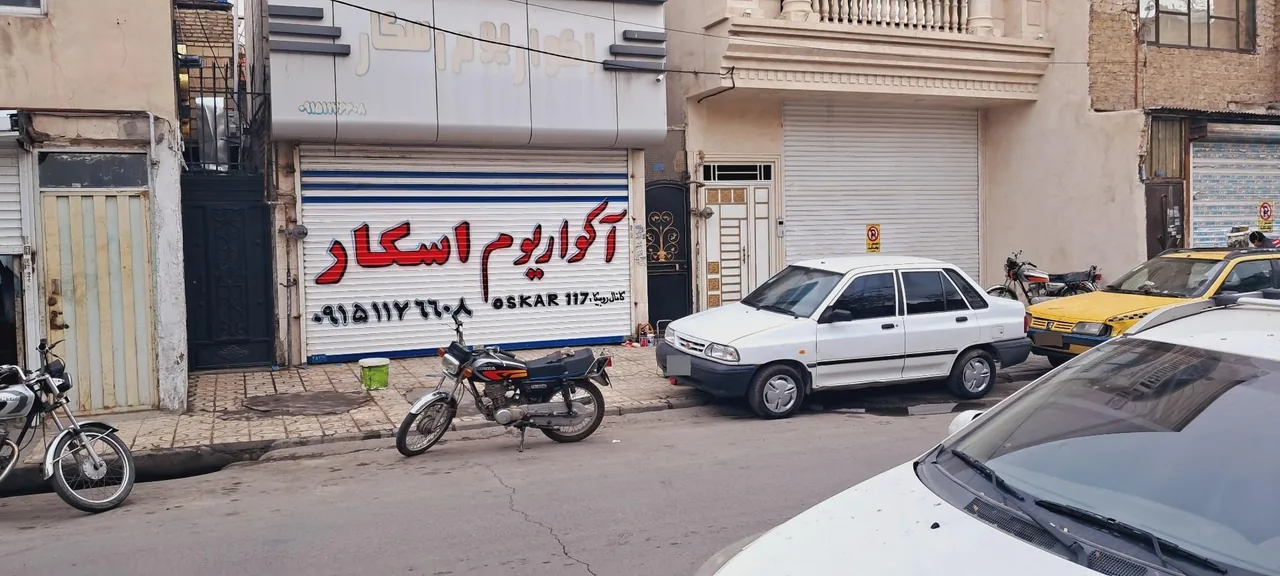 آکواریوم اسکار