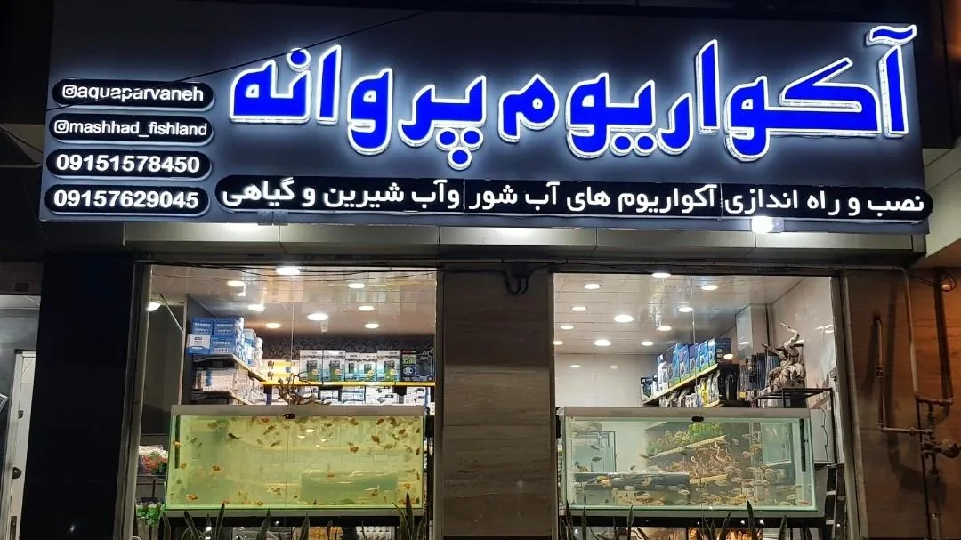 آکواریوم پروانه