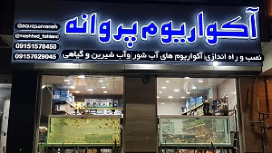 آکواریوم پروانه