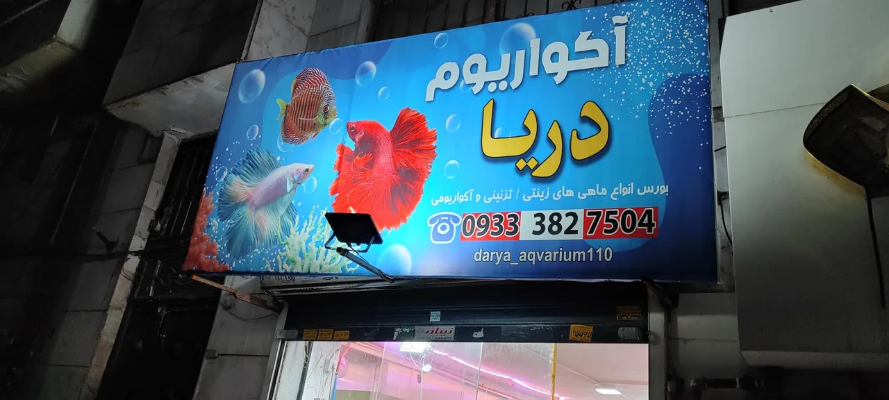 آکواریوم دریا