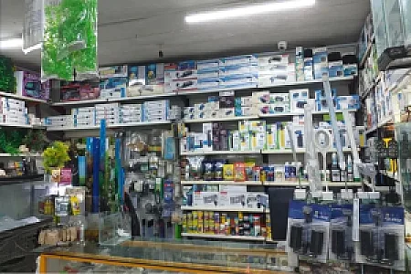 آکواریوم دلفین