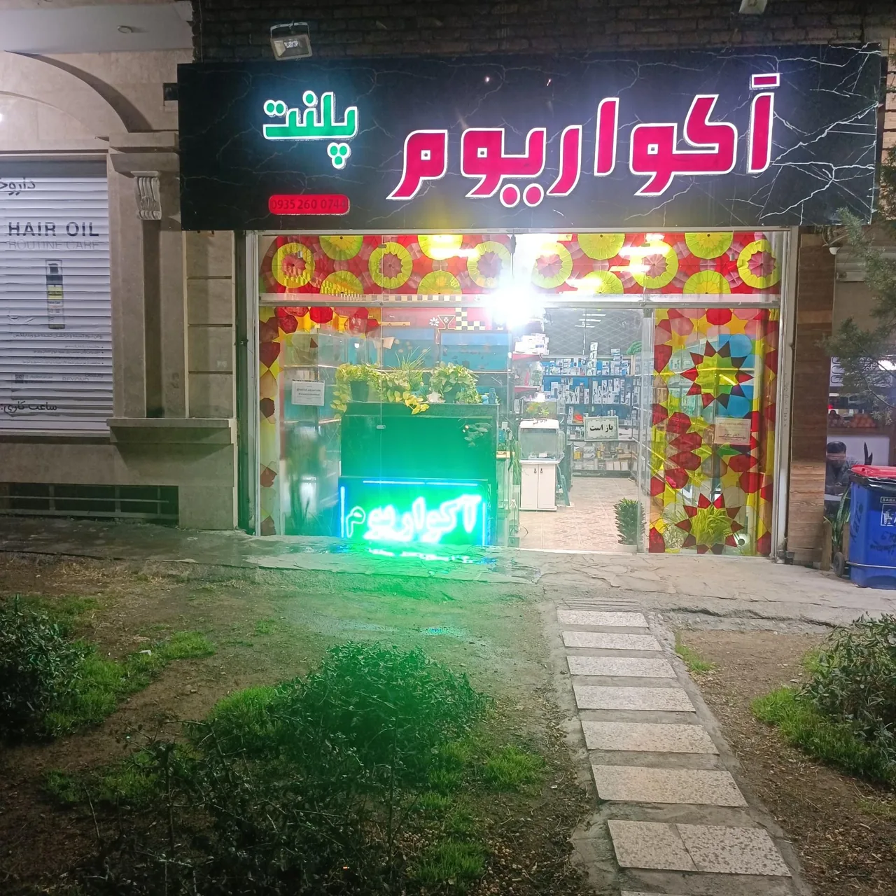 آکواریوم پلنت - تصویر 2