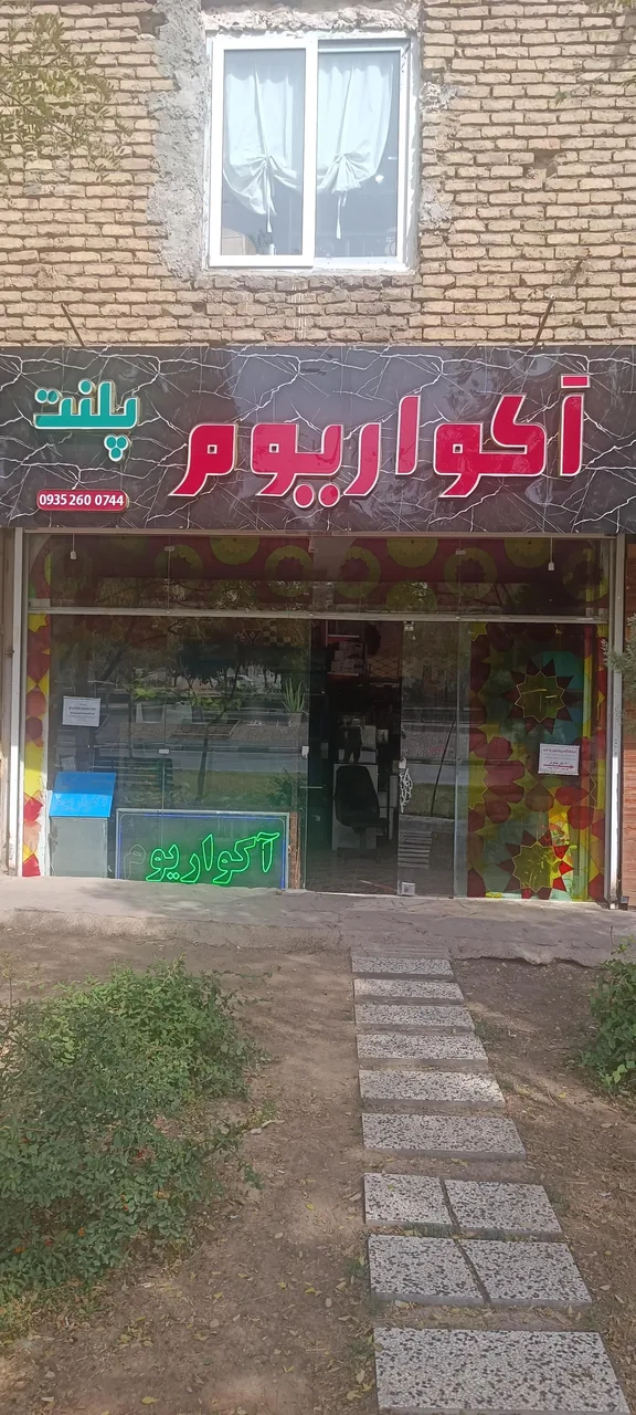 آکواریوم پلنت - تصویر 3