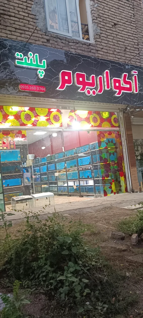 آکواریوم پلنت - تصویر 4