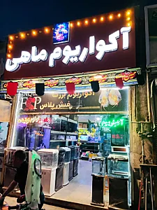 آکواریوم ماهی