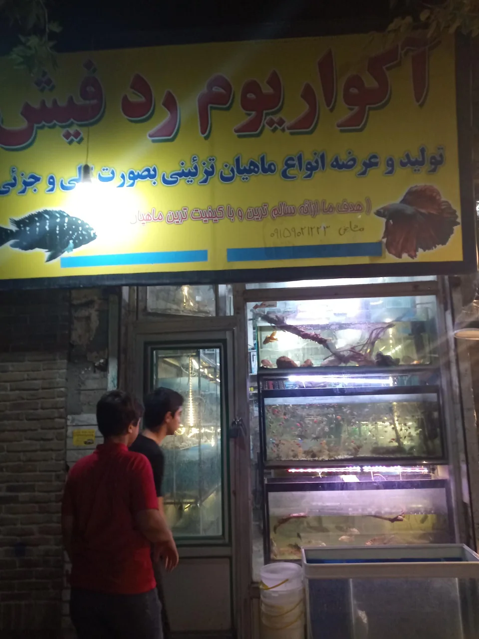 آکواریوم رد فیش