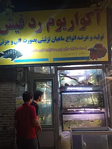آکواریوم رد فیش