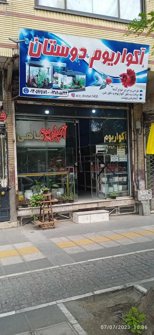 اکواریوم دوستان