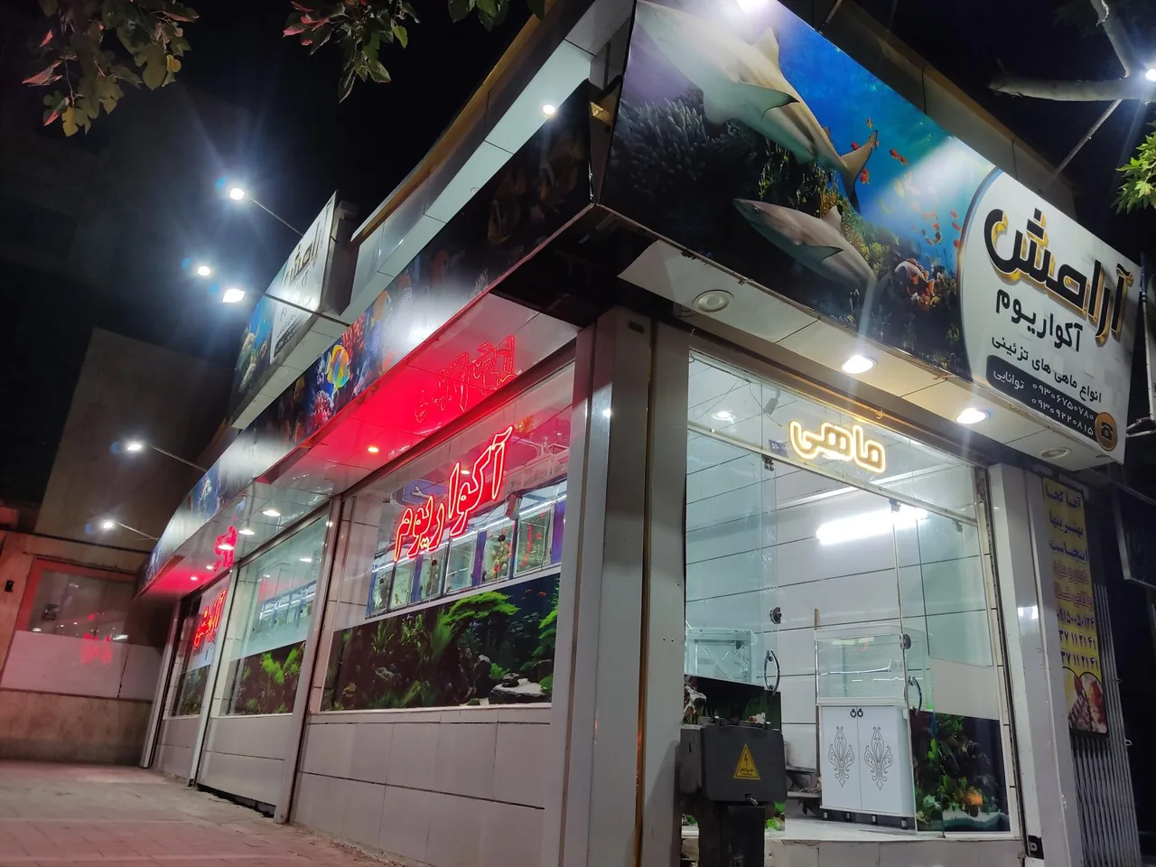 آکواریوم آرامش
