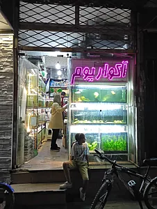 آکواریوم بلیز