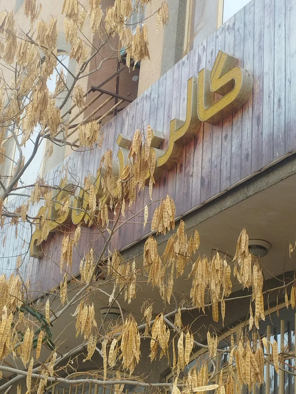 گالری زرین گام - تصویر 2